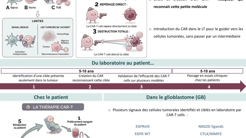 Les CAR-T cells