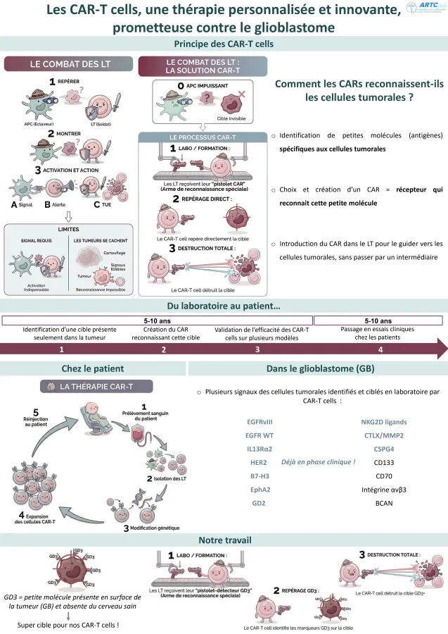 Les CAR-T cells