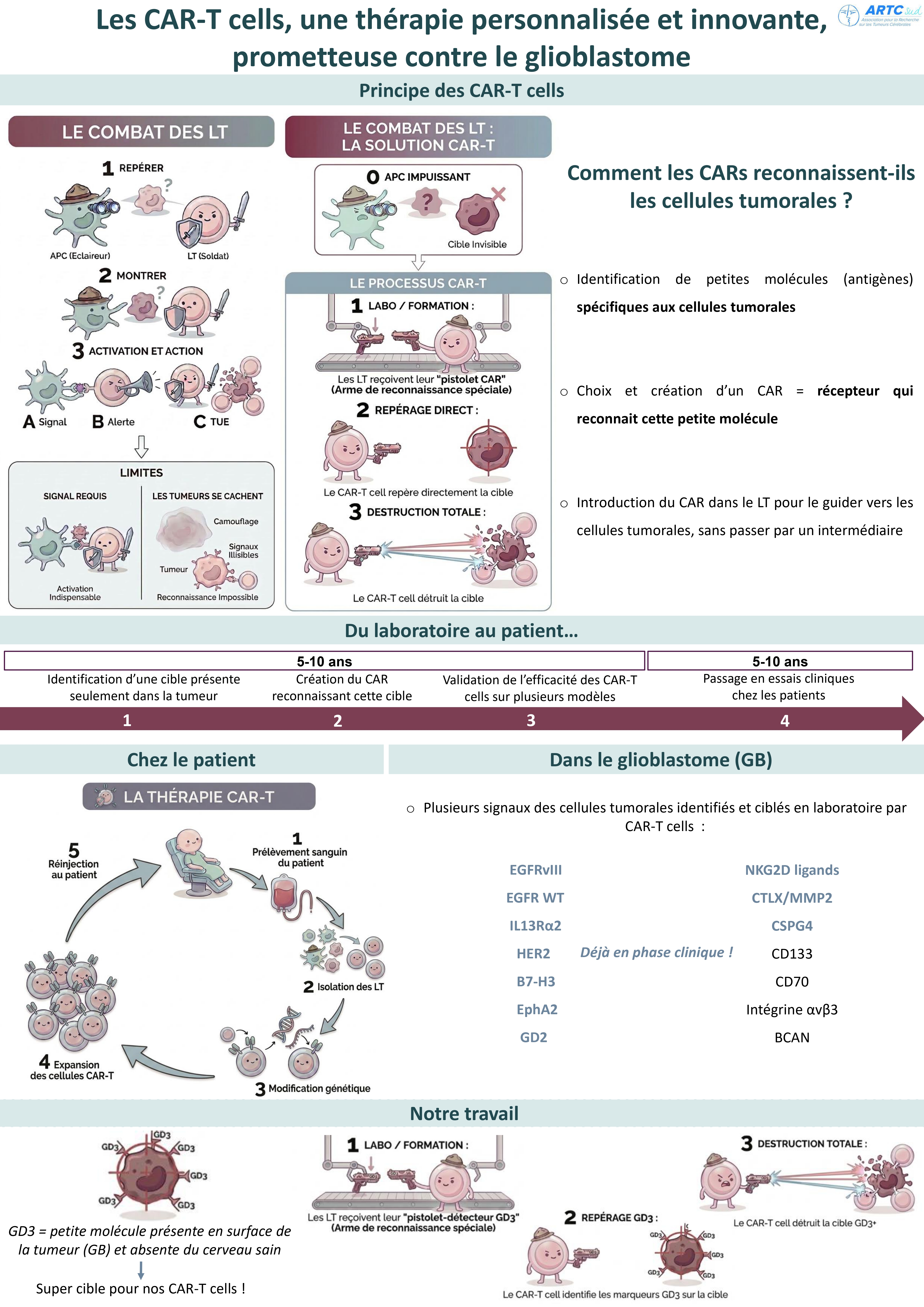 Les CAR-T cells
