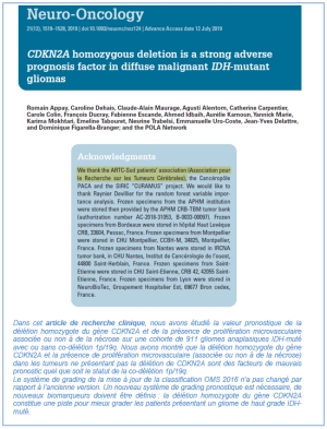 CDKN2A homozygous deletion is a strong adverse prognosis factor in diffuse malignant IDH-mutant gliomas