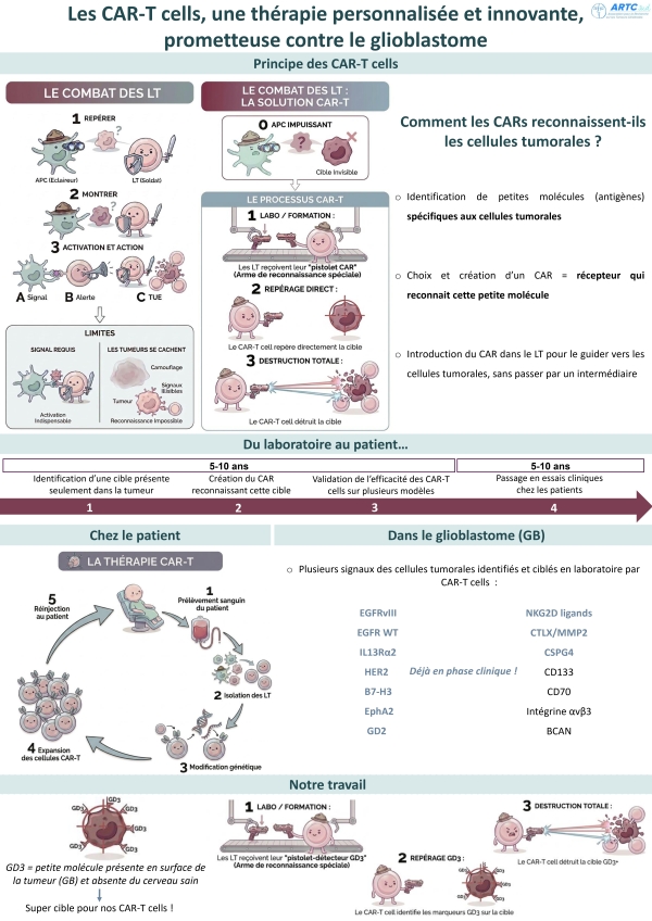 Les CAR-T cells