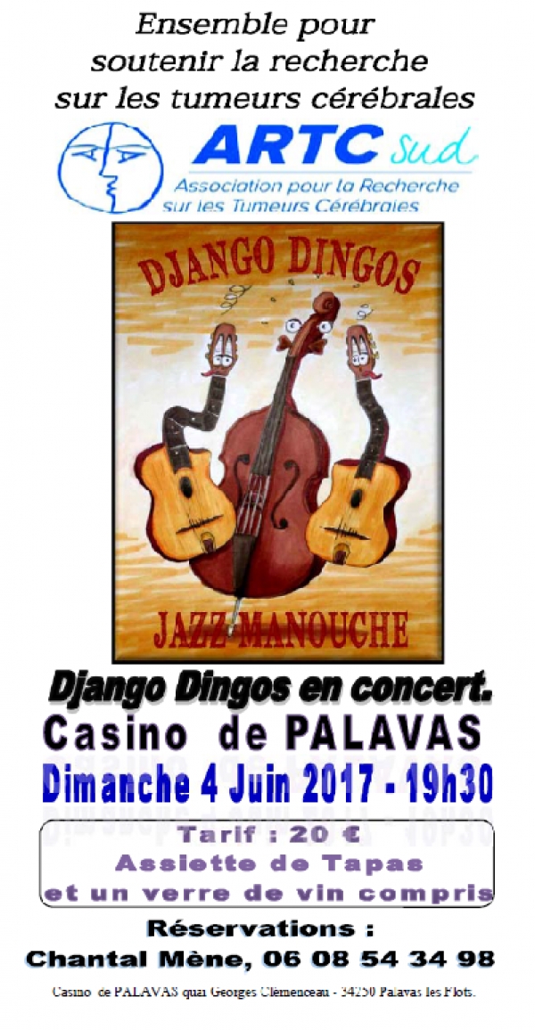 Concert Django Dingos
